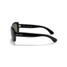 RB4101 601